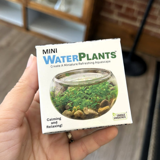 Mini Plants