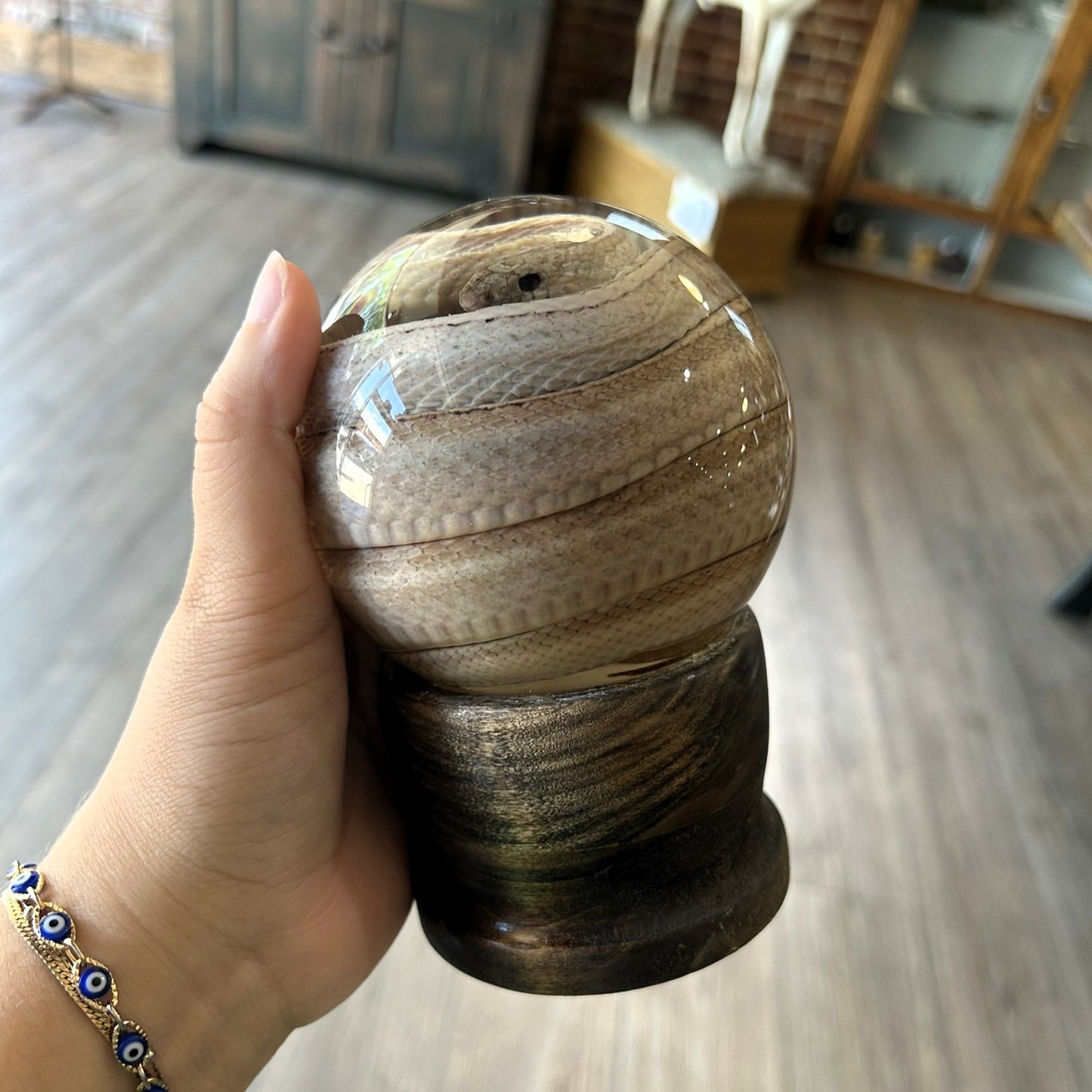Snake Globes