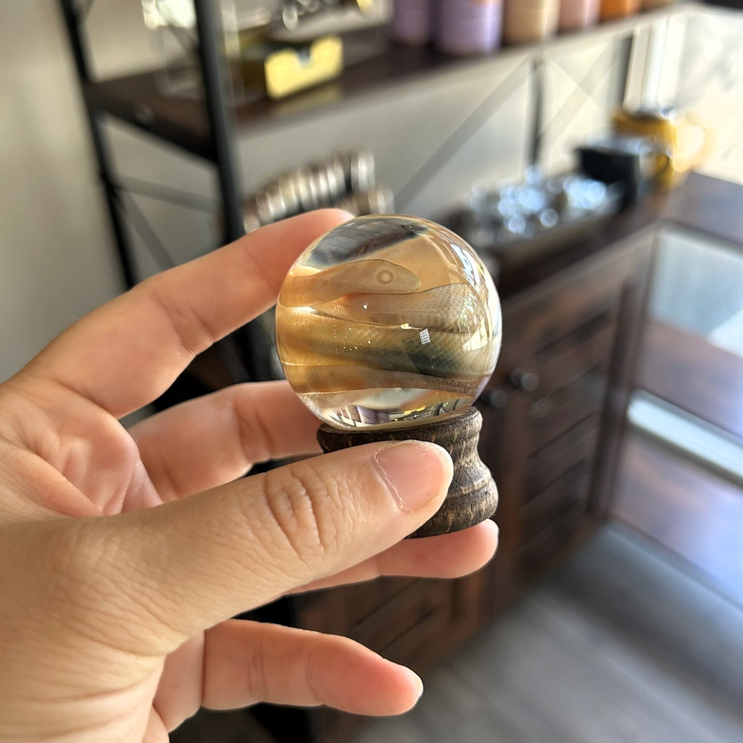 Snake Globes