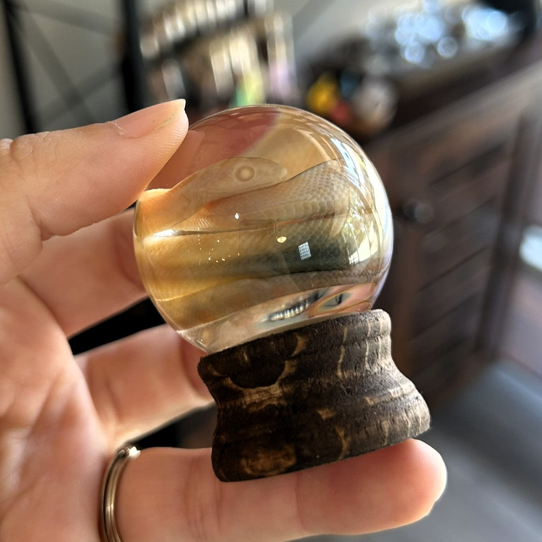 Snake Globes