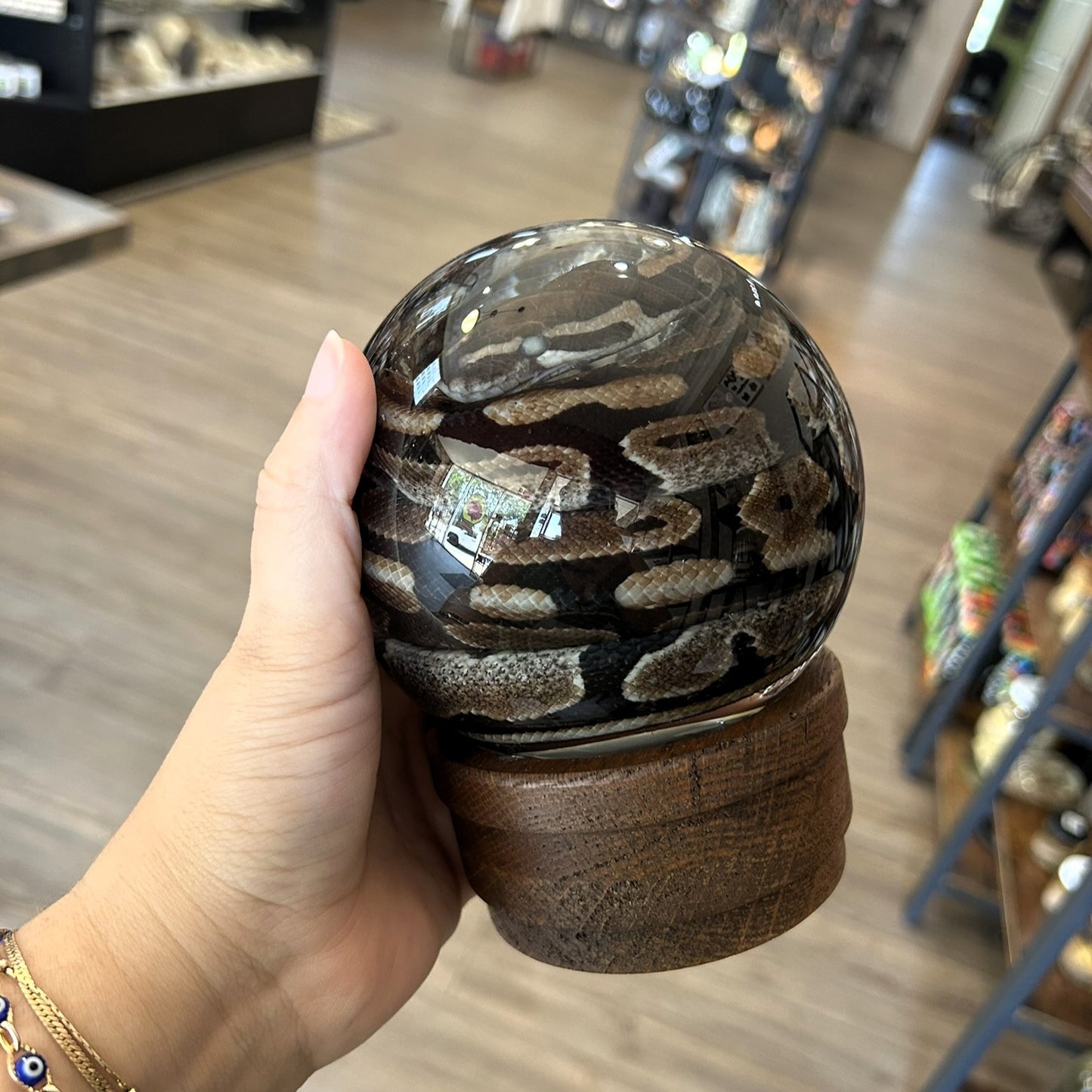Snake Globes