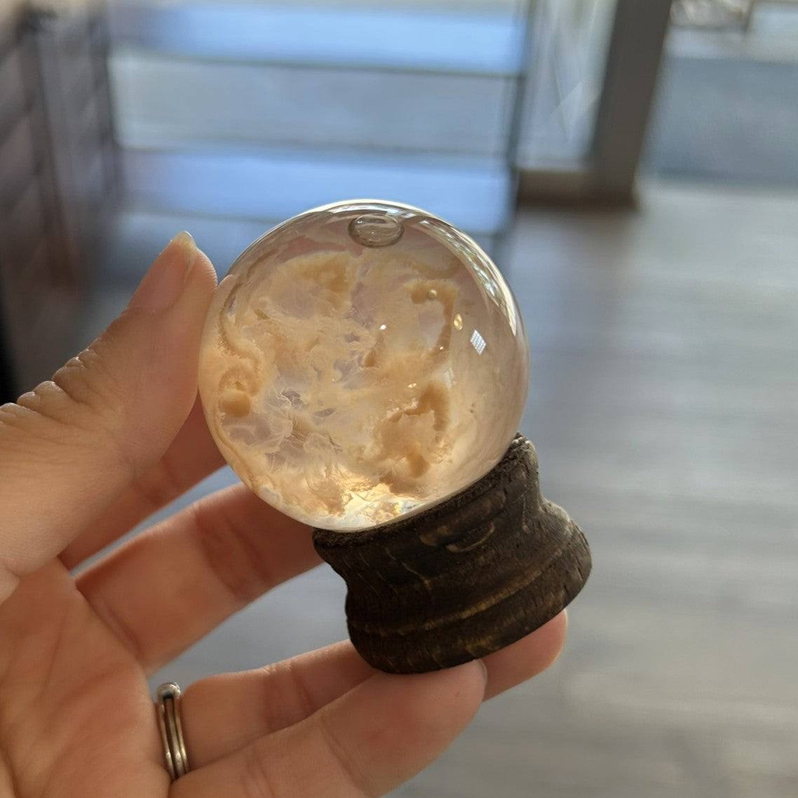 Jellyfish Globe