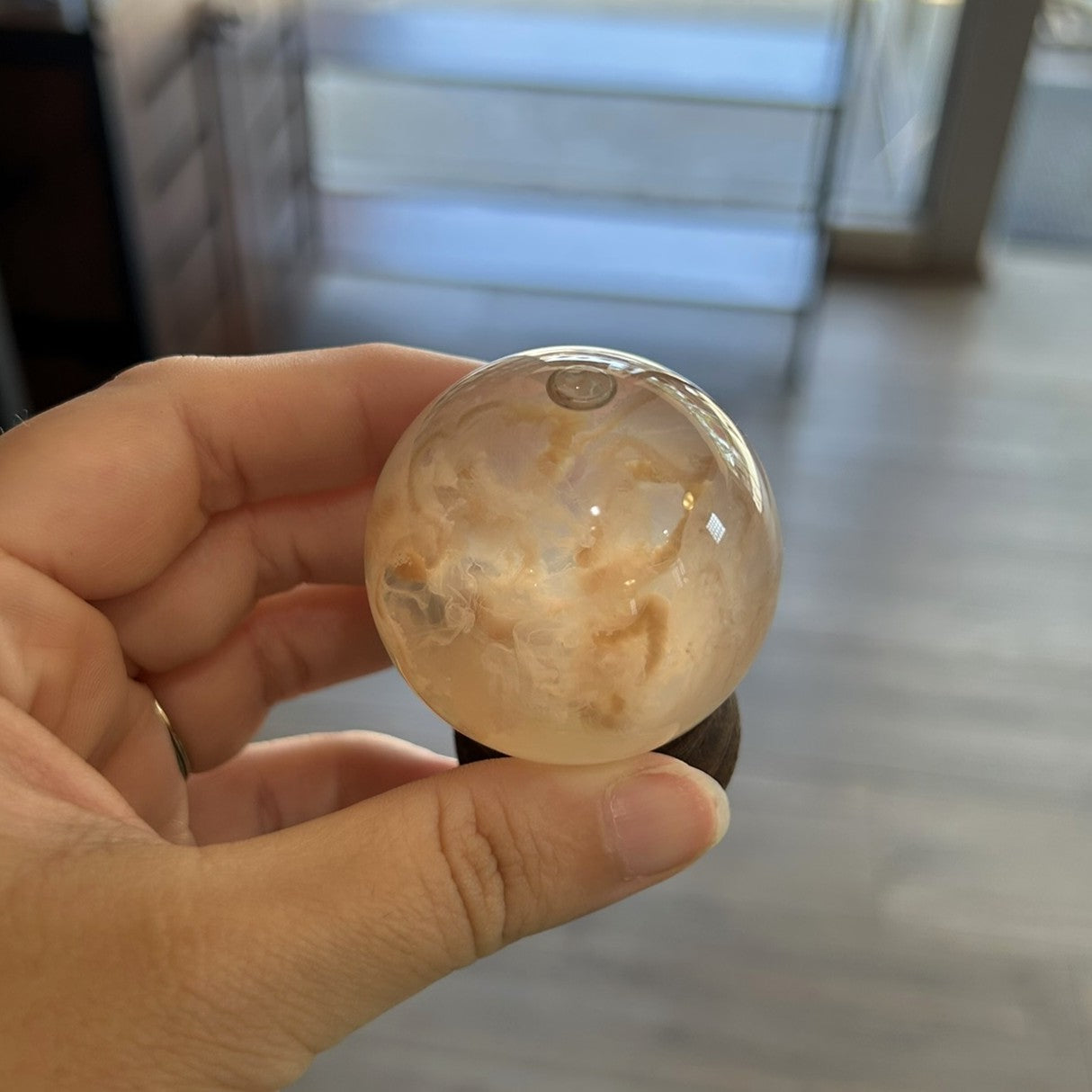 Jellyfish Globe