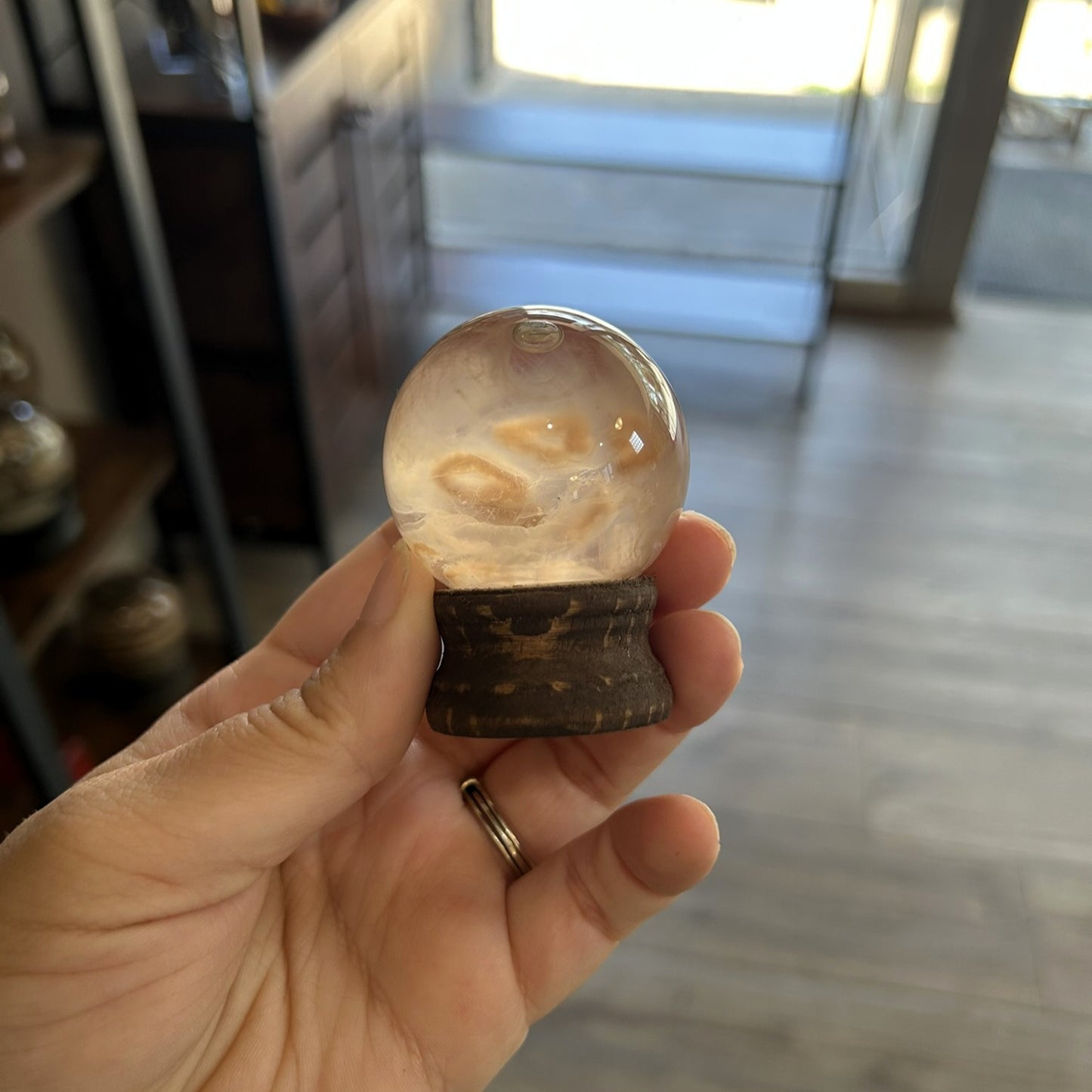 Jellyfish Globe