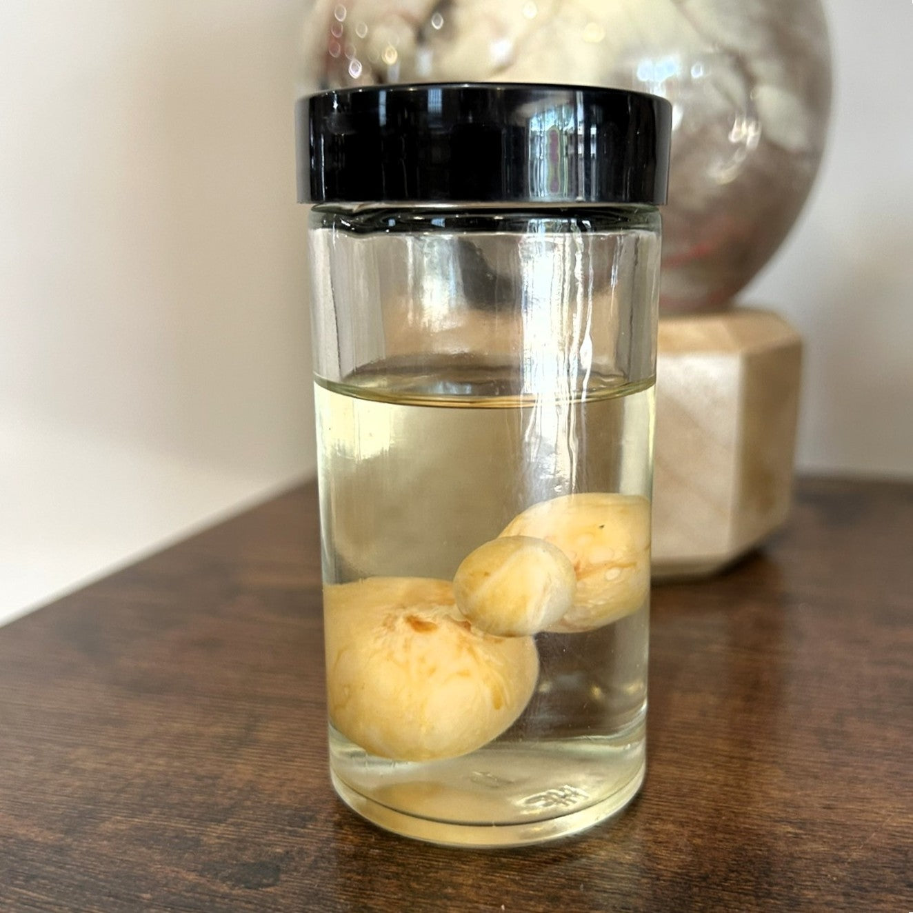 Chicken Egg - Deformity