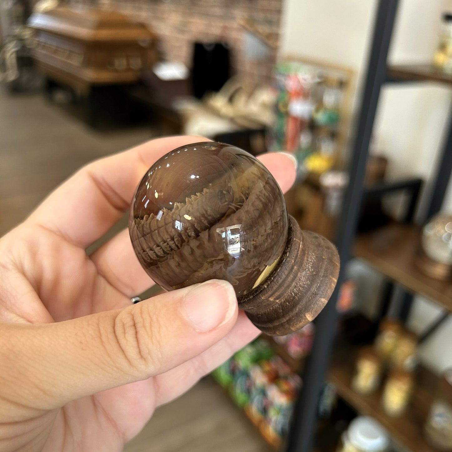 Sandworm Globe