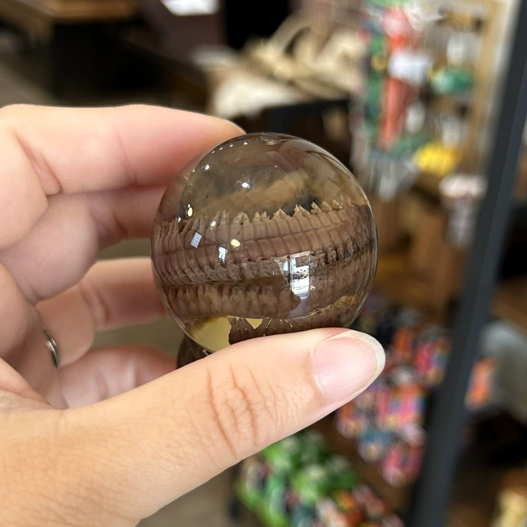 Sandworm Globe