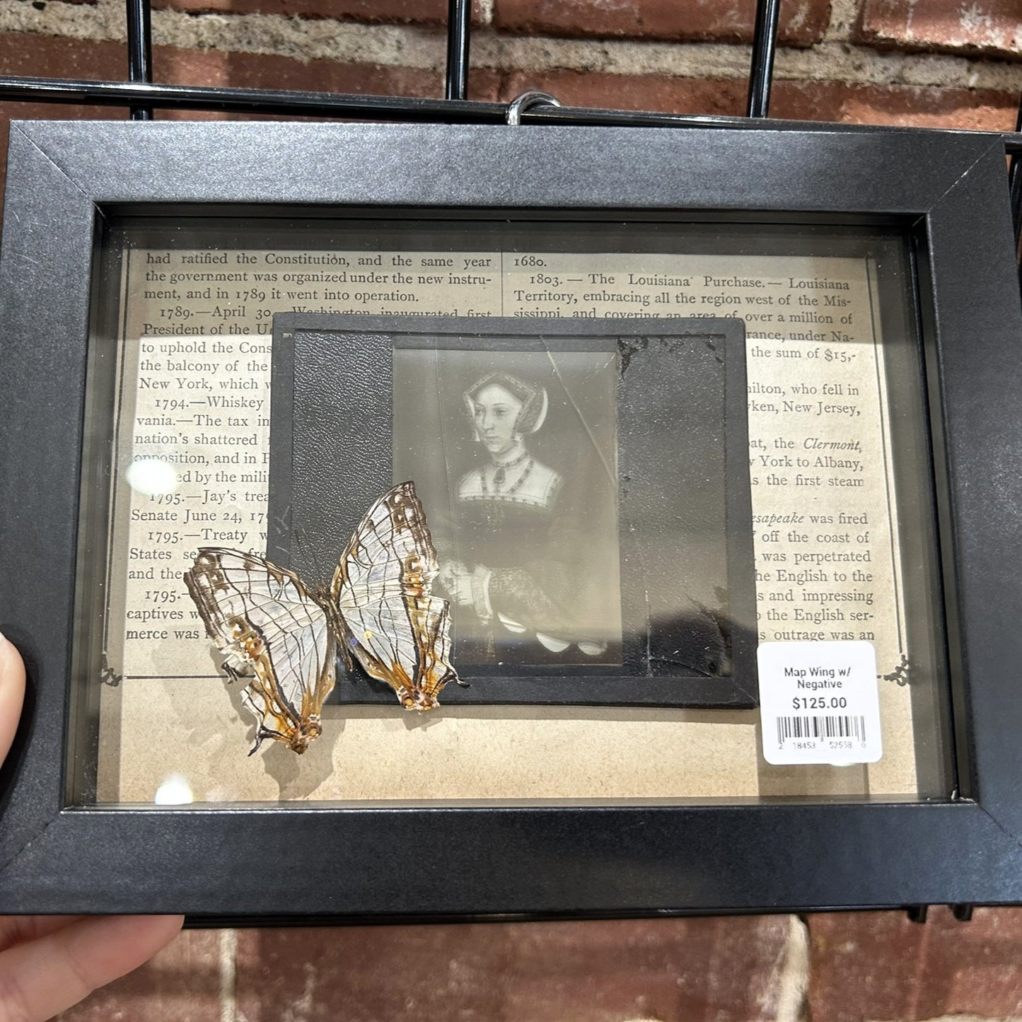 Butterflies with Glass Negatives