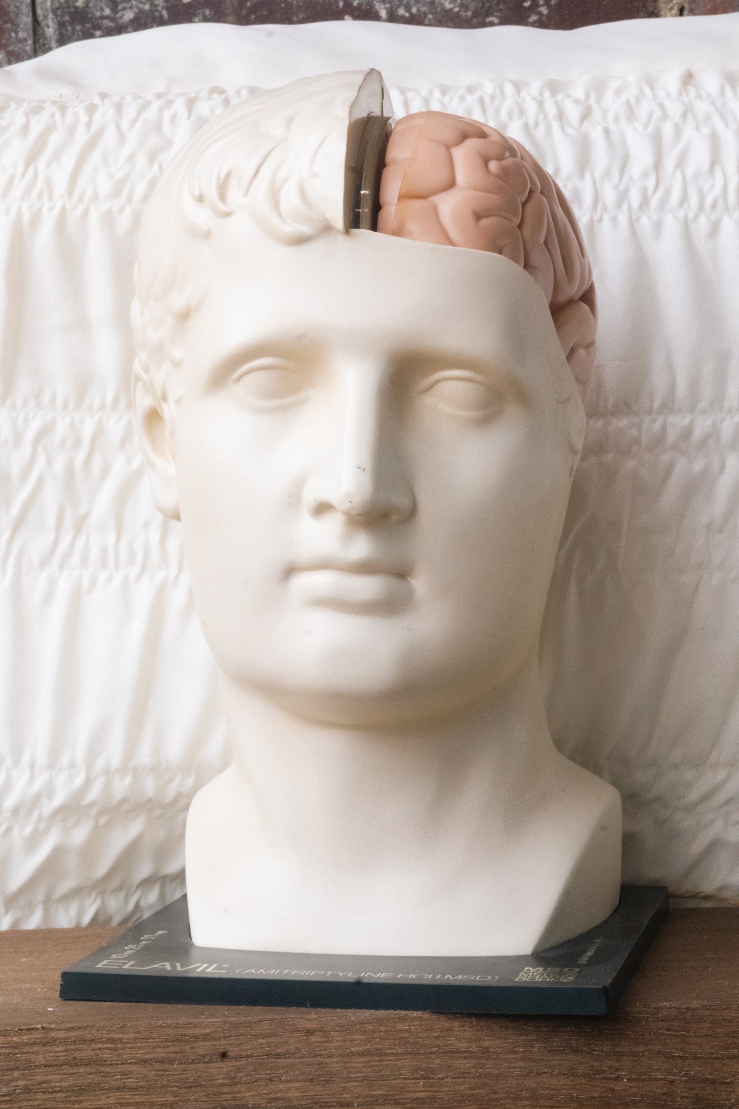 Head & Brain Display