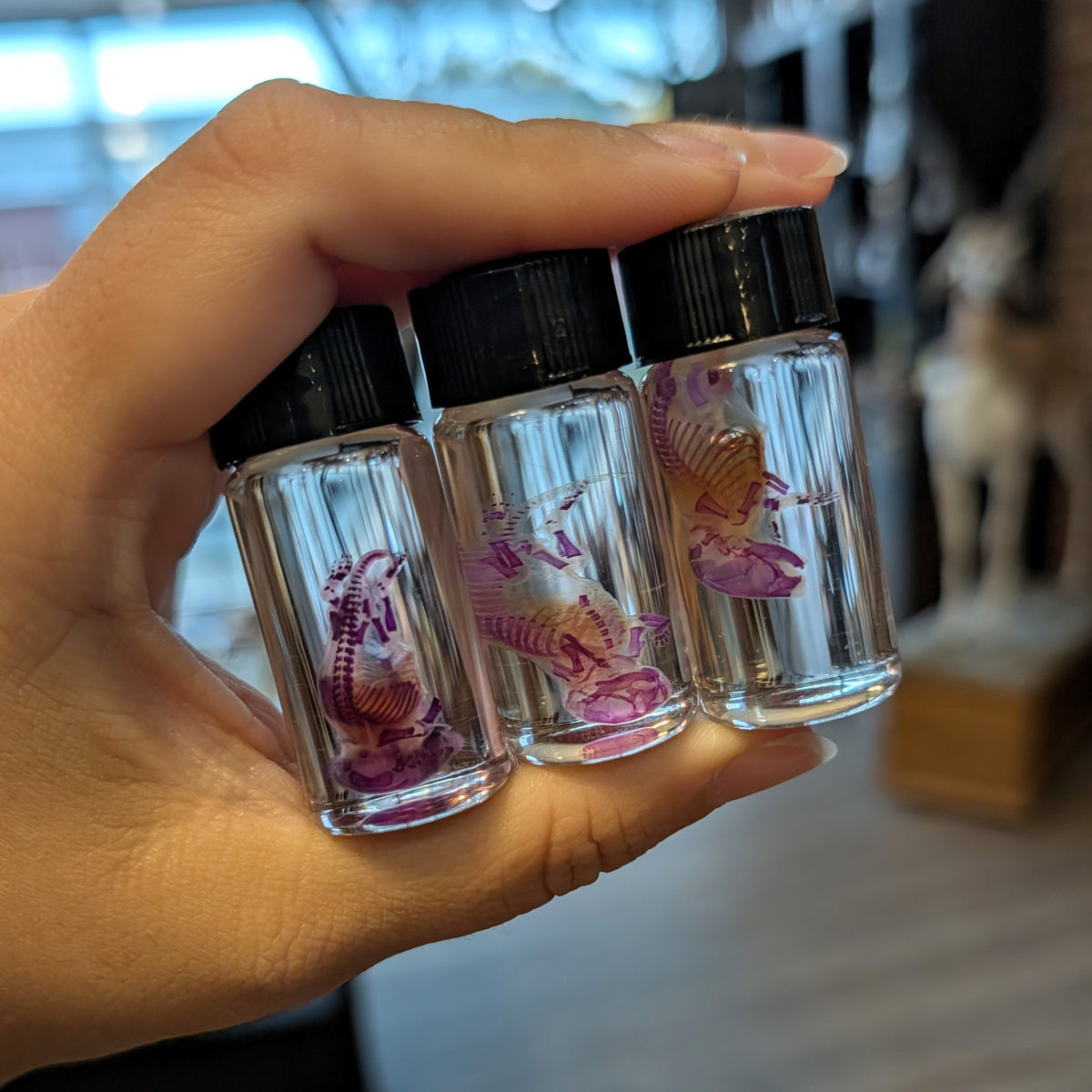 Diaphonized Pinky Mouse