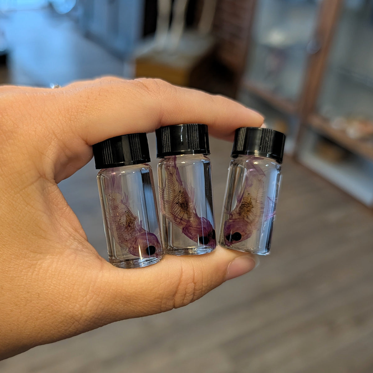 Diaphonized Fish