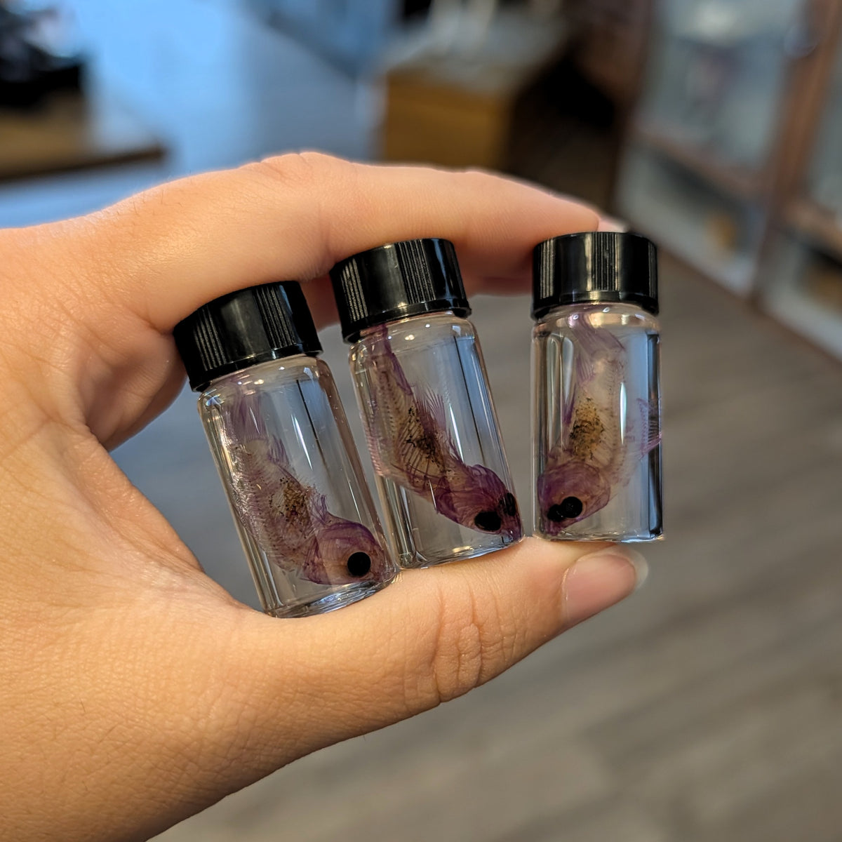 Diaphonized Fish