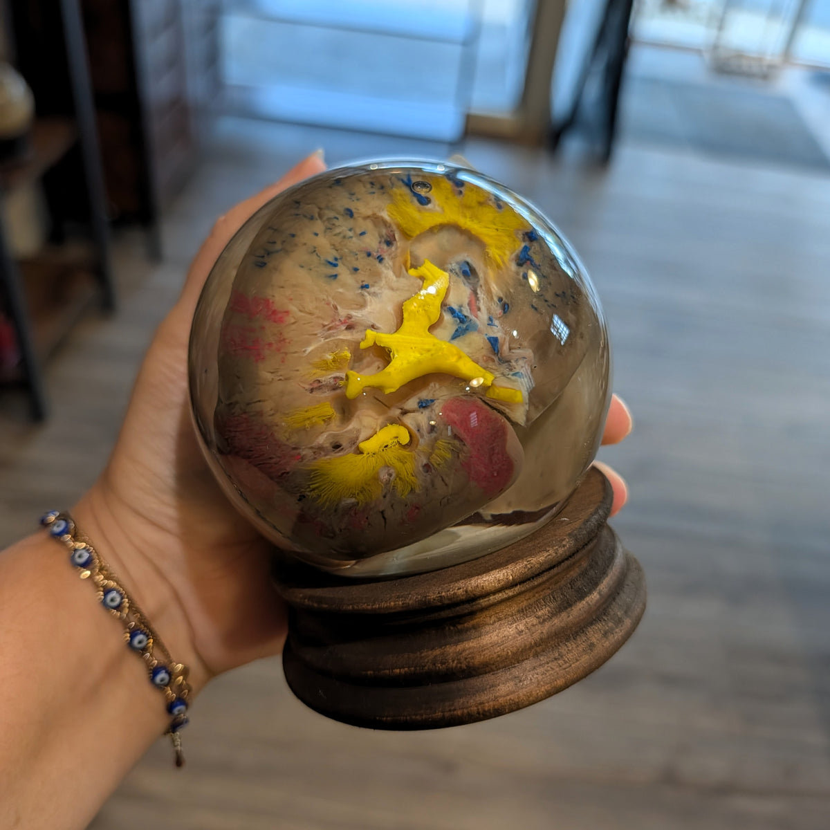 Bisected Pig Kidney Globe