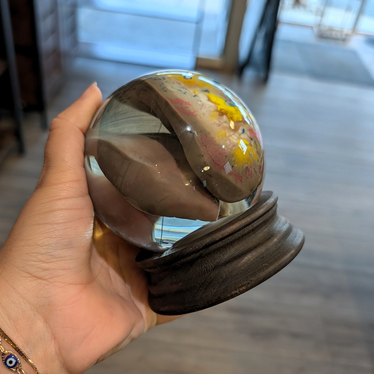 Bisected Pig Kidney Globe