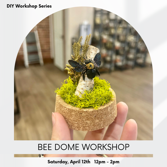 Bee Dome Workshop