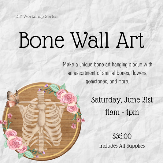 Bone Wall Art Workshop