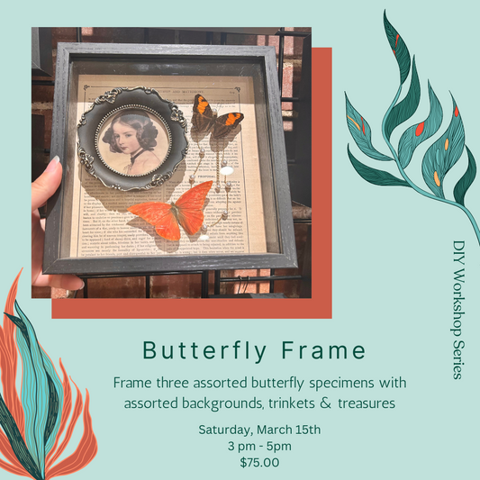 Butterfly Frame Workshop- March