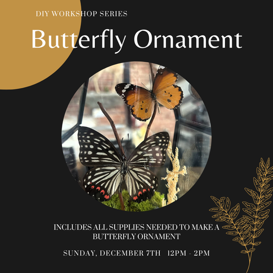 Butterfly Ornament Workshop