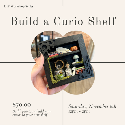 Build A Curiosity Shelf Workshop