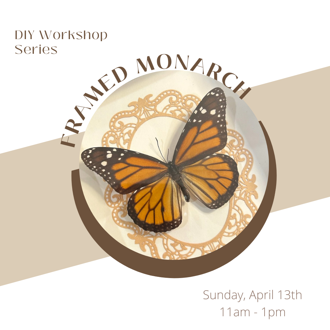 Monarch Framing Workshop