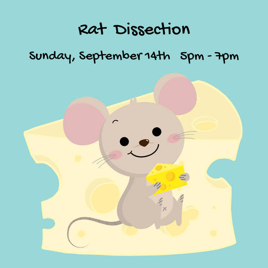 Rat Dissection Workshop