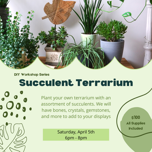 Succulent Terrarium Workshop